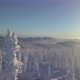 Aerial view of the trees in the snow on the mountainside - VideoHive Item for Sale