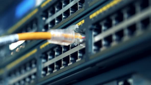Network Equipment In Server Room. Ethernet Patch Cord And Lan Switch Router In Data Center. alt