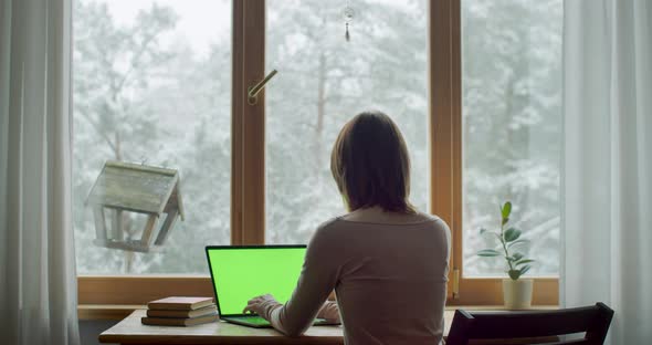 Back View of Woman Working at Laptop Indoors By Window Slow Motion alt