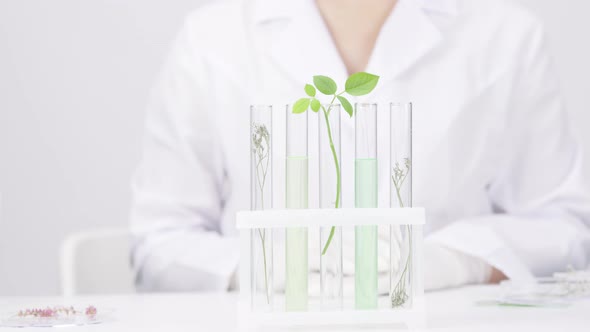 Female Researcher Cosmetologist Conducts Research with Sprouts in Test Tubes