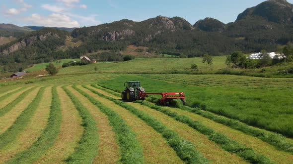 Farming Tractor Cutting Green Grass And Making Row Of Windrow For Silage. - aerial alt