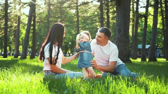 Pretty Toddler Girl with Parents Enjoy Summer on Green Grass in Sunny Park alt