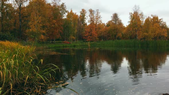 Autumn Park with Colorful Leaves and a Pond