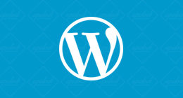 APALODI WordPress Themes