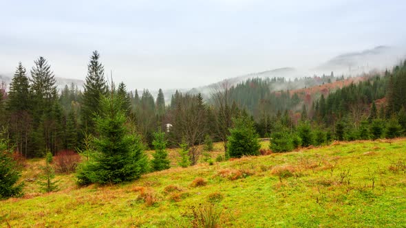 Ukraine Carpathians