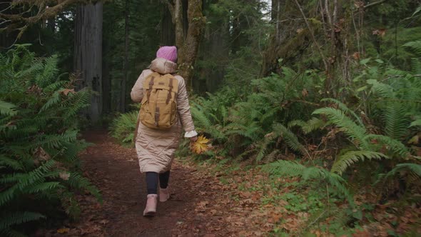 Slow Motion Back View of Female Traveler Walking By Lavish Green Forest Park USA alt