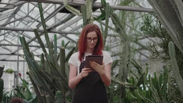 A Modern Young Woman Works in a Greenhouse with Cacti and a Tablet