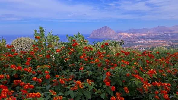 Red lantana flowers with panoramic view of Monte Cofano in background, Sicily. Italy alt