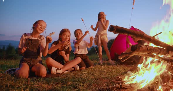 Group of Children Frying Marshmallow Over Bonfire at Summer Camp alt