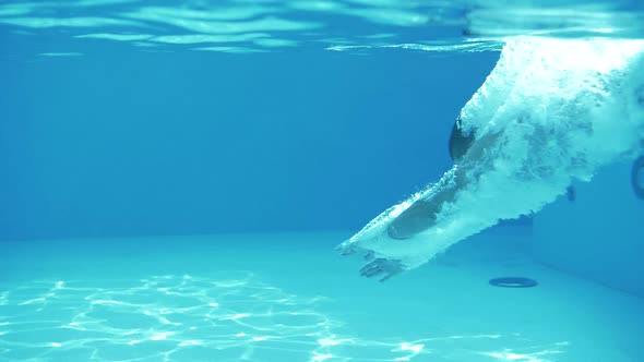 Young successful man dives into the pool water headfirst in slow motion alt