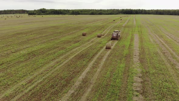 Farmer on a Tractor Presses Straw Into Rolls After Harvesting Grain Crops in an Agricultural Field alt