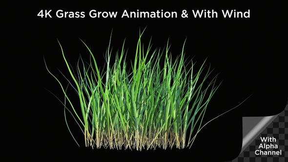 Grass Grow V1
