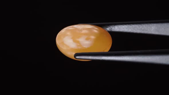 Natural Yellow Fire Opal Gemstone in the Tweezer on the Background alt