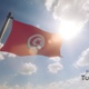 Tunisia Flag on a Flagpole V2 - VideoHive Item for Sale