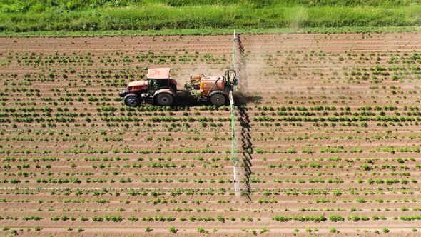 Tractor Spraying Pesticides on Vegetable Field with Sprayer alt