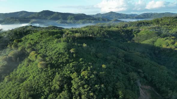 Aerial Forest and beautyfull cloud
