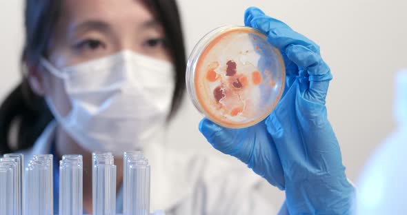 Female Scientist doing experiment alt