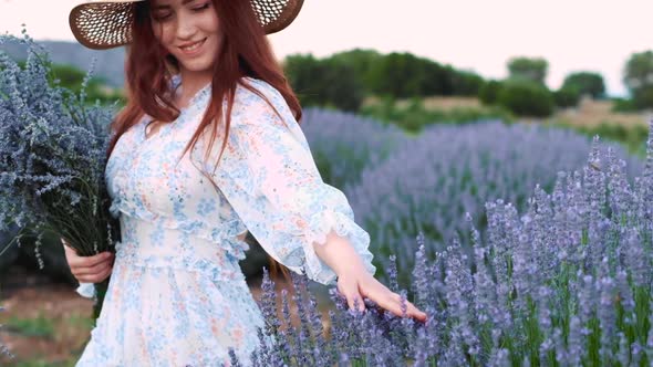 Touching the Lavenders alt