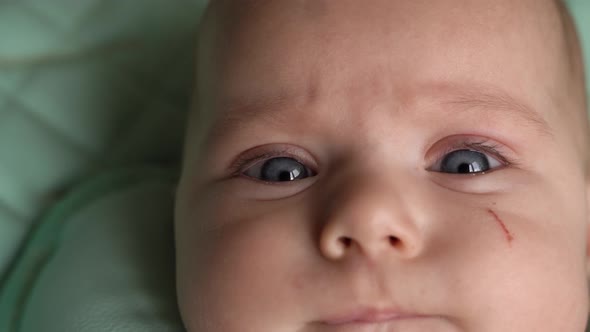 Baby's Face Closeup Lips and Eyes of a Newborn