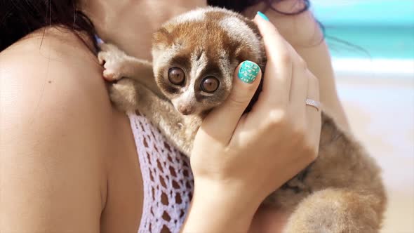 Young Beautiful Blonde Girl on a Sandy Beach with Small Thick Lori Who Hugs Her Hand in the alt