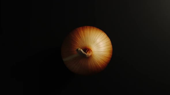 Onion Rotates On A Black Surface