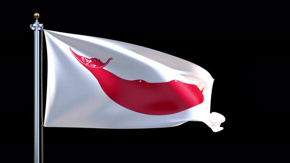 Easter Island Rapa Nui Waving Flag alt