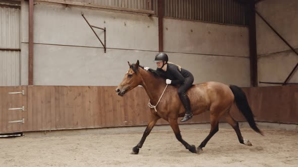 Tracking Wide Slow Motion Shot Of Young Woman Riding Horse Bareback In Paddock alt