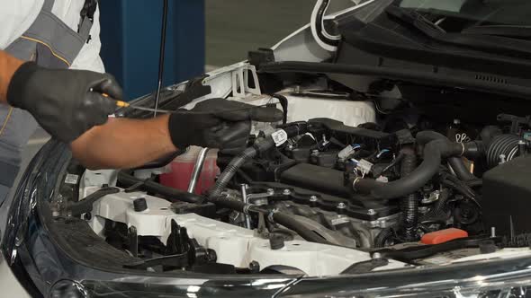 Professional Mechanic Checking Oil Level and Engine of a Car alt