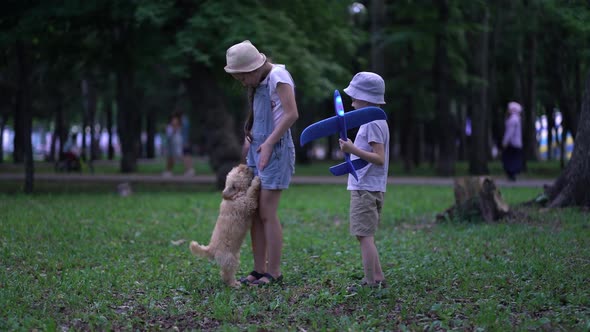 Little Boy with Plane and Girl Play with Cute Poodle Dog Outdoors in Park