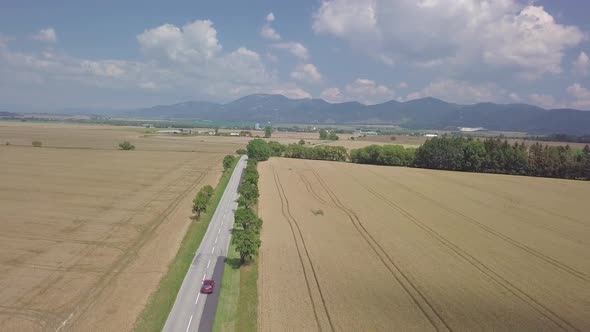 Aerial View of Road with Red Car in Corn Fields in Sunny Summer Countryside alt