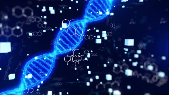DNA Digital Genetic Structure Platform