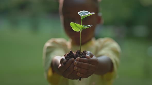 African Cute Girl Holding Green Sprout with Soil in Hands alt