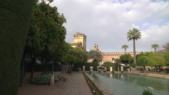 Orange trees and pond in the Gardens of the Alcazar alt