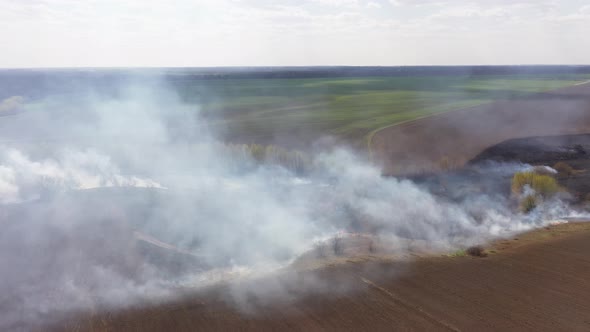 Burning Field, Fire and Smoke. Disaster and Emergency Events, Negative Impact on Flora