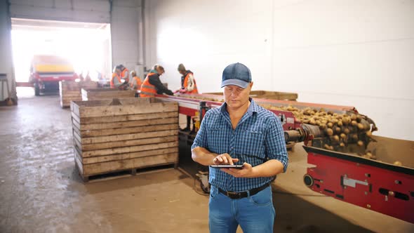 Potato Harvesting alt