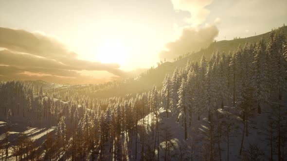 Winter Landscape with Foggy Mountain Sunset alt