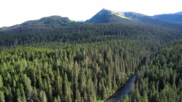 Alaskan pine tree covered wilderness with river and distant mountains alt