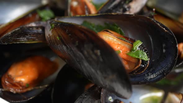 Mussels 22 alt