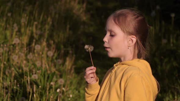 Girl with Dandelion at Sunset