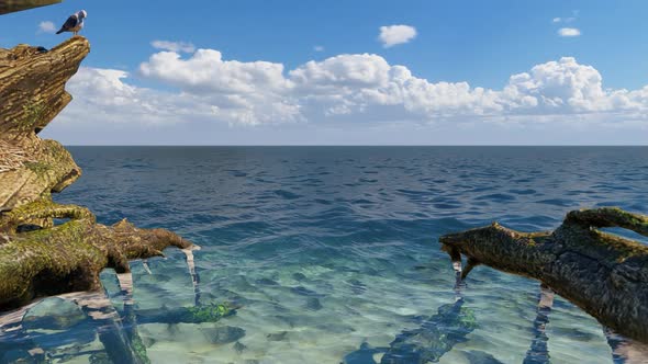 Tree Trunks At Beach alt