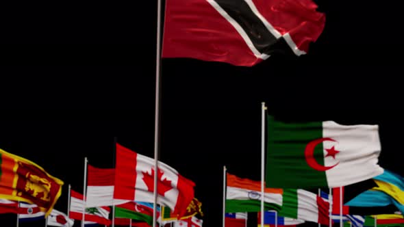 Trinidad and Tobago Flag With World Flags In Alpha Channel