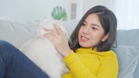 Asian woman holding and play with little cat with happiness at home. alt