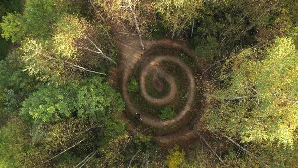 Helix In a Forest