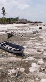 Vertical Video of Low Tide in the Ocean Near the Coast of Zanzibar Tanzania alt
