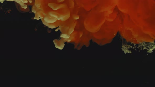 Vibrant Red and Yellow Paint Clouds in Water alt