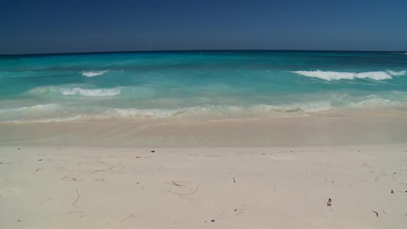 Facing the Ocean alt