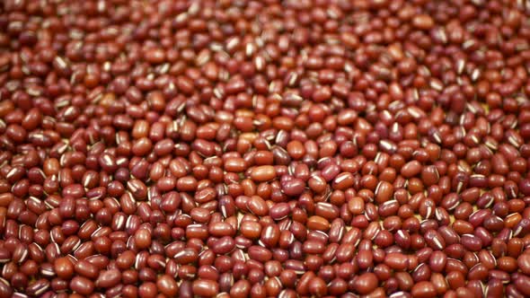 Adzuki Beans Plant Detail, Azuki Red Mung Bean Pulses Healthy Nutrition, Superfood. China Himalayas