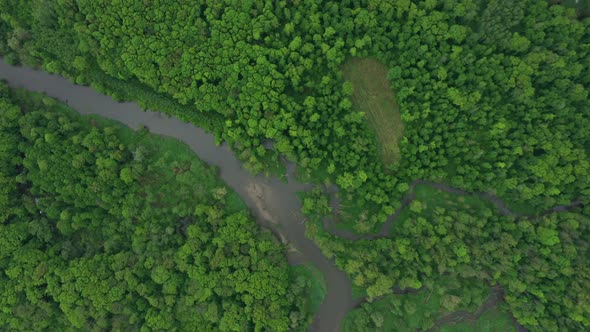 River Delta River Meander Inland Dron Aerial Video Shot in Floodplain Forest and Lowlands Wetland