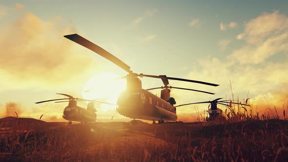 Transport helicopters at sunset