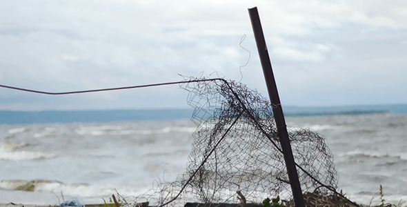 Wind Shakes The Fence On Seashore